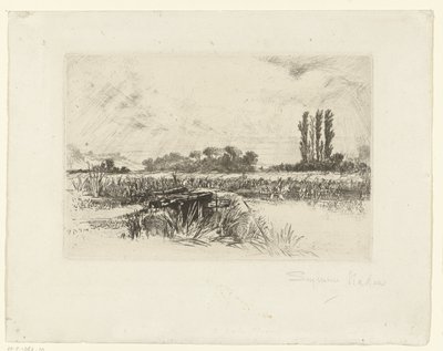 taşkın yatağı Bir su çayırı by Francis Seymour Haden (Sir) (signed by artist)
