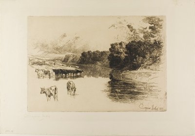Bir Lancashire Nehri by Francis Seymour Haden