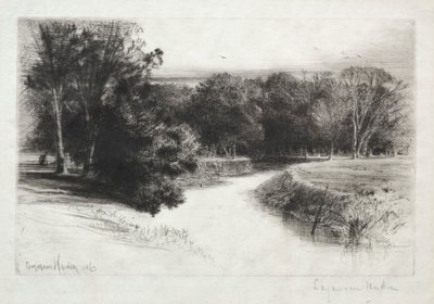 İrlanda'da Bir Günbatımı by Francis Seymour Haden