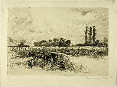 Su Çayırı by Francis Seymour Haden