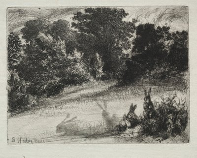 alt tarak by Francis Seymour Haden