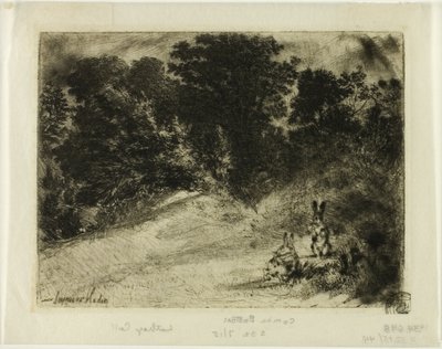 alt tarak by Francis Seymour Haden