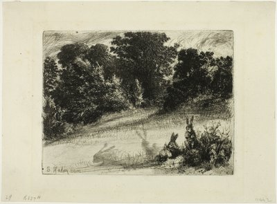 alt tarak by Francis Seymour Haden