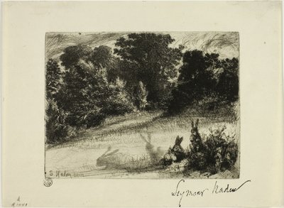 alt tarak by Francis Seymour Haden