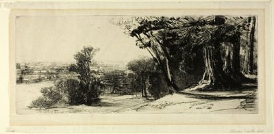 Sabah Erken, Richmond Parkı by Francis Seymour Haden
