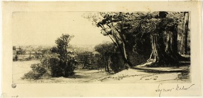 Sabah Erken, Richmond Parkı by Francis Seymour Haden