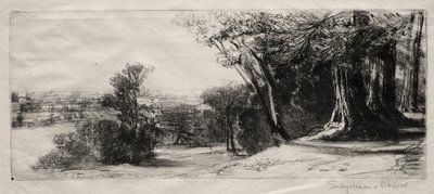 Sabah erken, Richmond Parkı. by Francis Seymour Haden