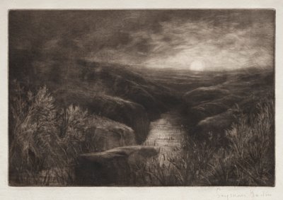 Sivrisinek Perisi. by Francis Seymour Haden