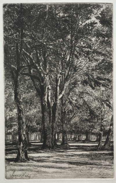 Kensington Bahçeleri (Büyük Plaka) by Francis Seymour Haden