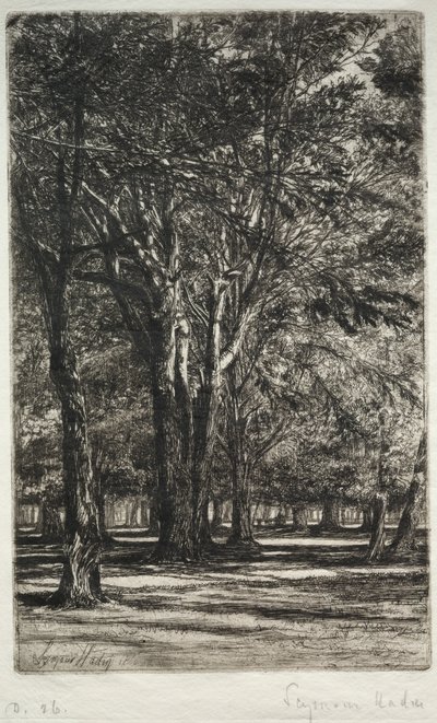 Kensington Bahçeleri (Büyük Plaka) by Francis Seymour Haden