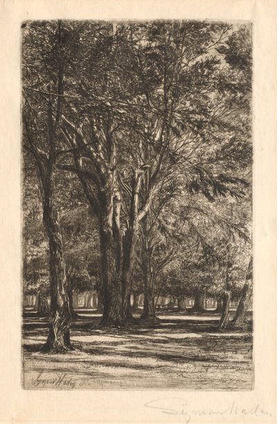 Kensington Bahçeleri, No. 2 (Büyük Plaka) by Francis Seymour Haden
