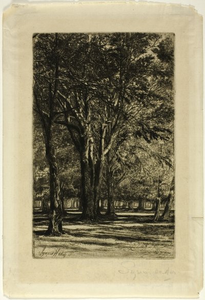 Kensington Bahçeleri, No. II (büyük tabak) by Francis Seymour Haden