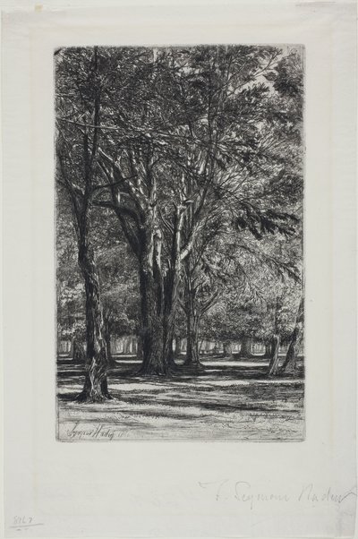 Kensington Bahçeleri, No. II (büyük tabak) by Francis Seymour Haden