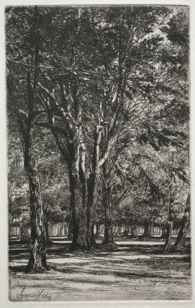 Kensington Bahçeleri Büyük Plaka, 1860. by Francis Seymour Haden