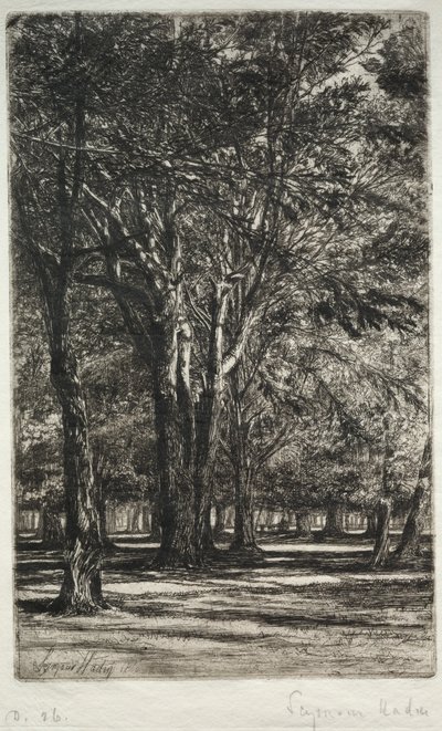 Kensington Gardens Büyük Plaka, 1860. by Francis Seymour Haden