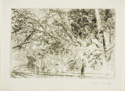 Derenin Ağzı, No. II by Francis Seymour Haden