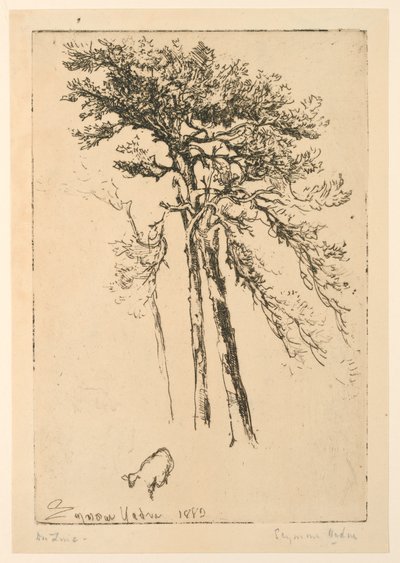 İskoç Köknarları by Francis Seymour Haden