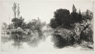 Shere Mill Göleti, No. 11 (Büyük Plaka) by Francis Seymour Haden