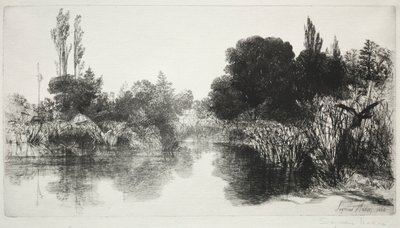 Shere Mill Pond, No. 11 The Large Plate, 1860 ve sonrası. by Francis Seymour Haden