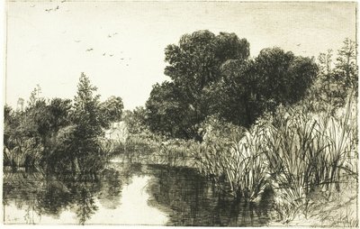 Shere Mill Göleti, No. II (büyük levha) by Francis Seymour Haden