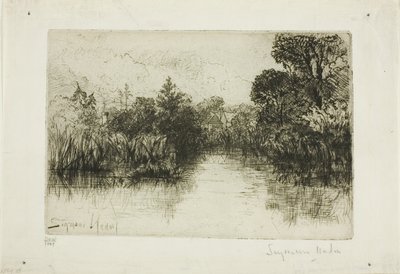 Shere Mill Pond, No. I (küçük tabak) by Francis Seymour Haden
