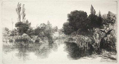 Shere Mill Göleti Büyük Plaka, 1860. by Francis Seymour Haden