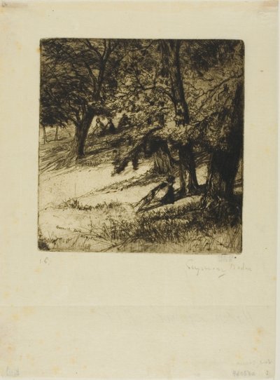 Kozanın altında... by Francis Seymour Haden