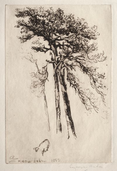 En Son Ağaç by Francis Seymour Haden