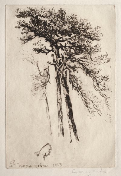 Son Ağaç, 1882. by Francis Seymour Haden