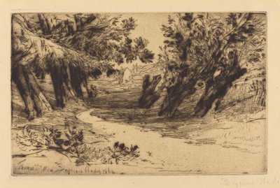 Aşıklar Yürüyüşü, No.2 by Francis Seymour Haden