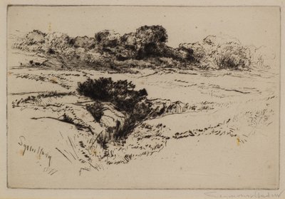 Yel Değirmeni Tepesi No.2 by Francis Seymour Haden