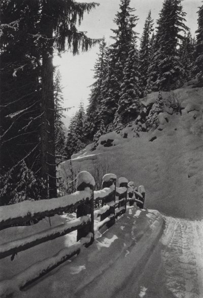 Alpler: Kış Sabahı, St Anton yakınında (s/b fotoğraf) by Francis Sydney Smythe