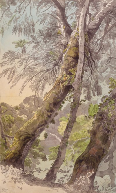 Su Sarkan Ağaçlar by Francis Towne
