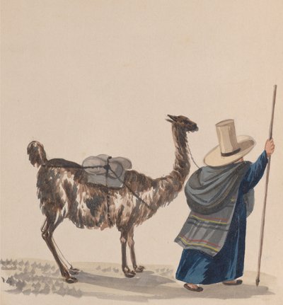Peru kostümünü tasvir eden bir grup çizimden bir Lama ile yürüyen bir kadın, yaklaşık. 1848. by Francisco