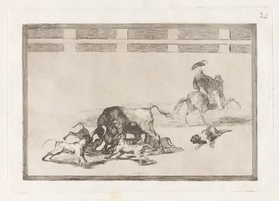 Echan perros al toro (Boğa Üzerinde Gevşek Köpekler), La tauromaquia
