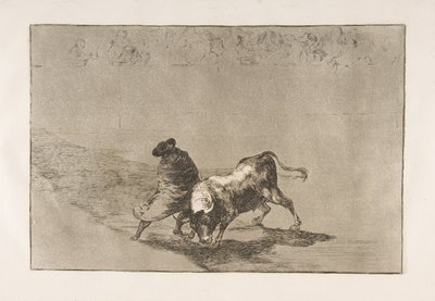 Tauromaquia