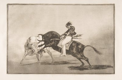 Tauromaquia