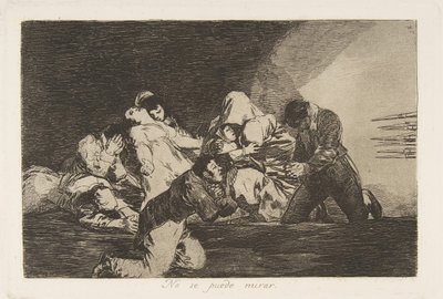 The Disasters of War Los Desastres de la Guerra