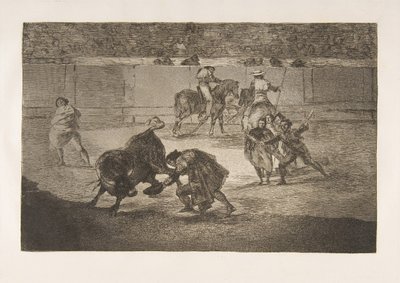 Tauromaquia