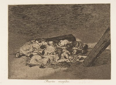 Los Desastres de la Guerra