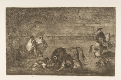 Plaka C: Köpekler boğanın üzerine saldı., ca. 1816. by Francisco de Goya