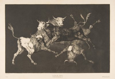 Farklılıklardan D Plakası: Aptallar veya Küçük Boğalar - budalalık, yakl. 1816-23, 1877