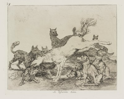 Kendini iyi savunuyor. (Kendisini İyi Savunuyor.), pl. Savaşın Felaketleri dizisinden 78 by Francisco de Goya