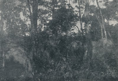 Hint Kulübeleri, 1895 by Francisco Henszler