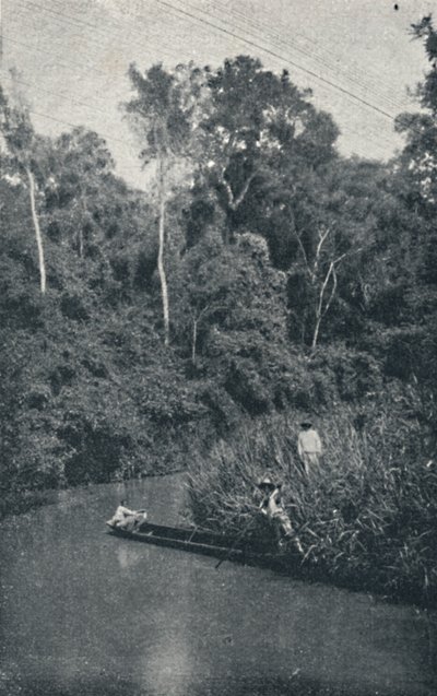 S. Anastacio Nehri, 1895 by Francisco Henszler