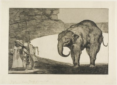 Farklılıklardan Hayvan Deliliği by Francisco Jose de Goya y Lucientes