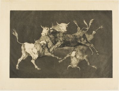 Aptalın Deliliği, Farklılıklardan by Francisco Jose de Goya y Lucientes