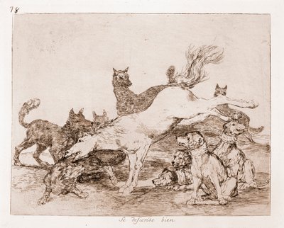 Savaşın Felaketleri: İyi savunur (hazırlık çiziminden aşındırma by Francisco de Goya