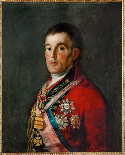 Wellington Dükü, 1814 tarihli resim (tuval üzerine yağlıboya) by Francisco Jose de Goya y Lucientes
