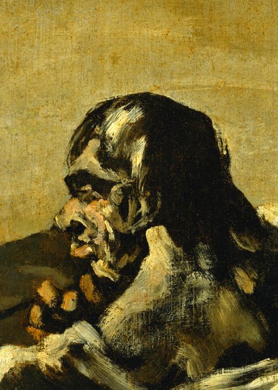  by Francisco Jose de Goya y Lucientes